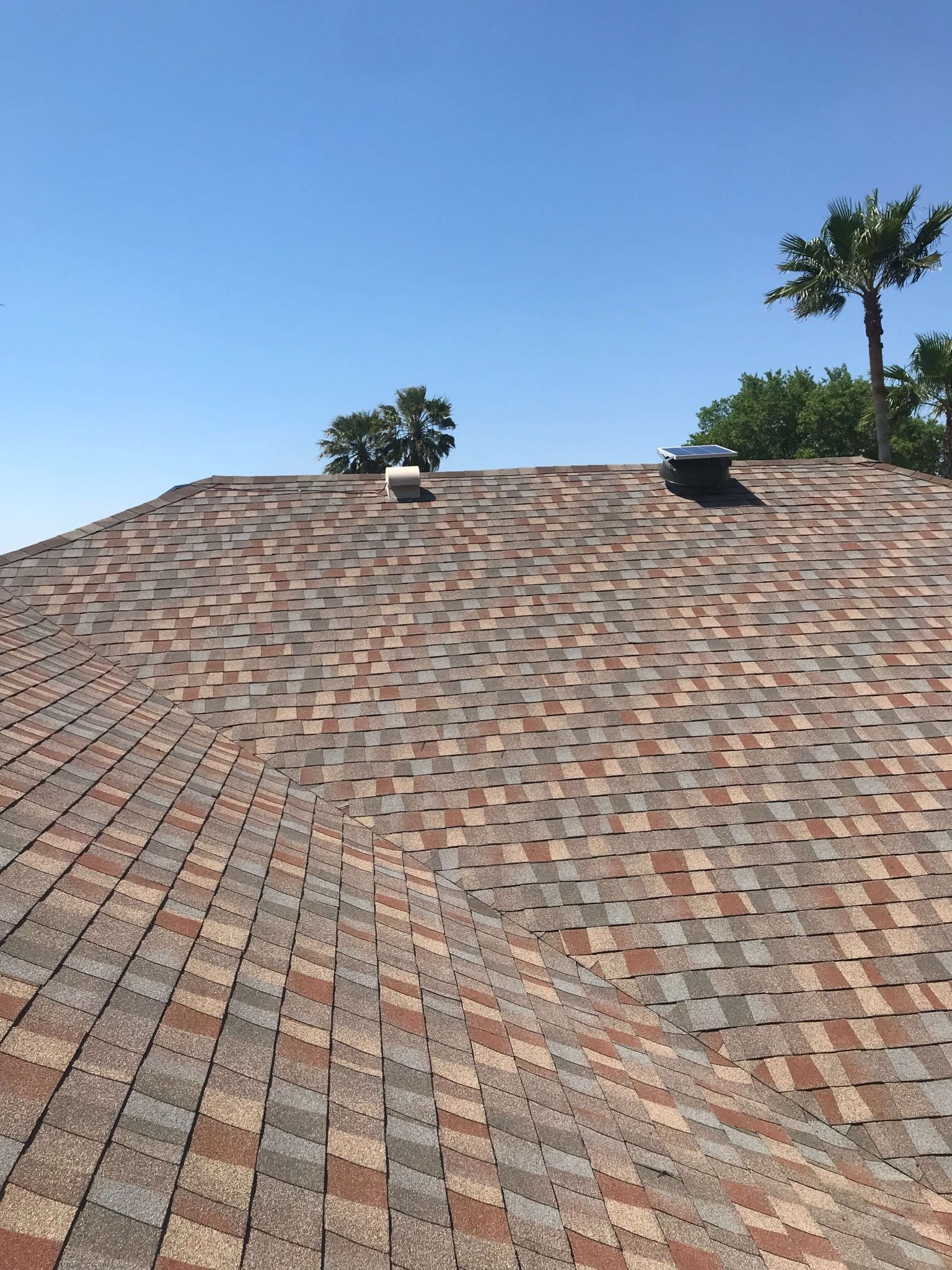 Completed GAF Timberline Golden Harvest Field Detail in Manatee County, FL