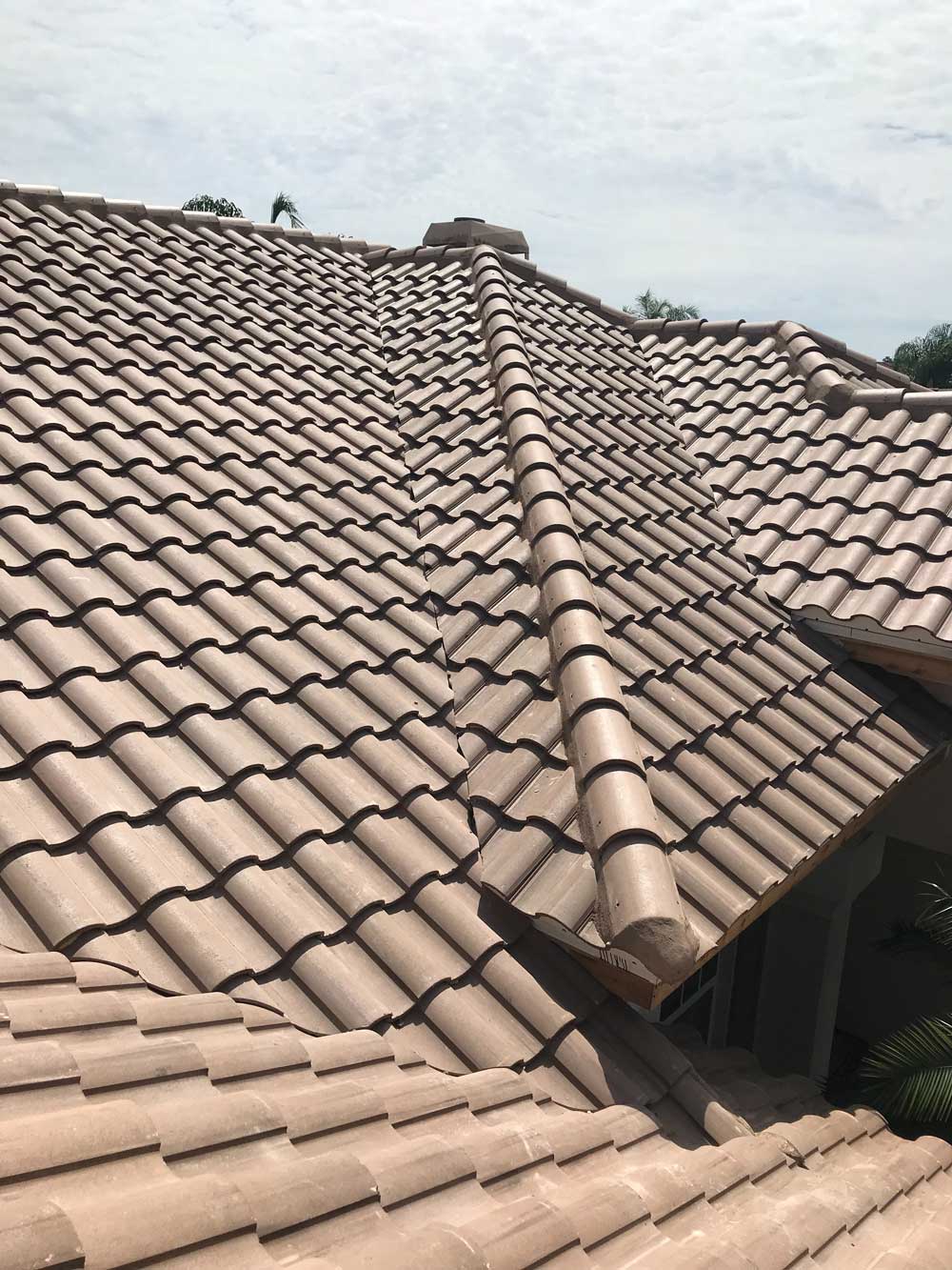 Completed Eagle Capistrano Santa Paula Field Detail in Sarasota County, FL